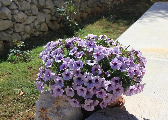 By The Sea Ilovik, Losinj - 8075 Apartman *