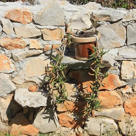 By The Sea Ilovik, Losinj - 8075 Apartman